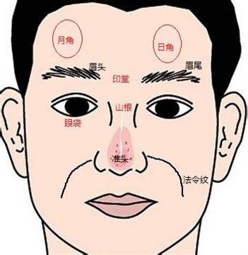 日角月角|日月角:簡要介紹,相理分論,日角,月角,吉凶預兆,